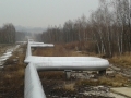 20140219_110106